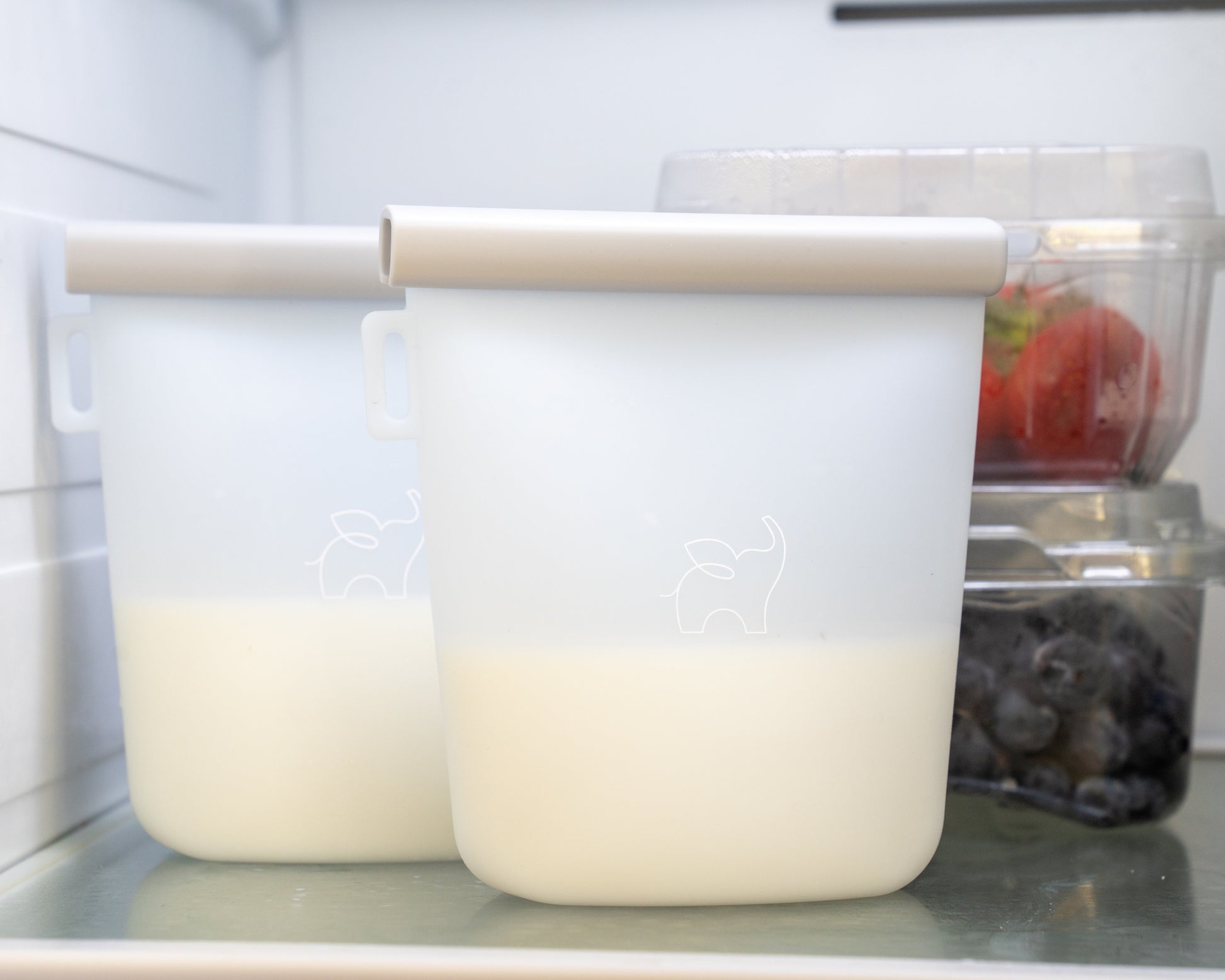 Silicone Milk Storage Bag